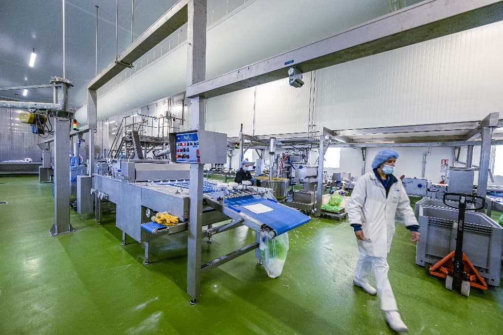 Sols Agro-Alimentaires